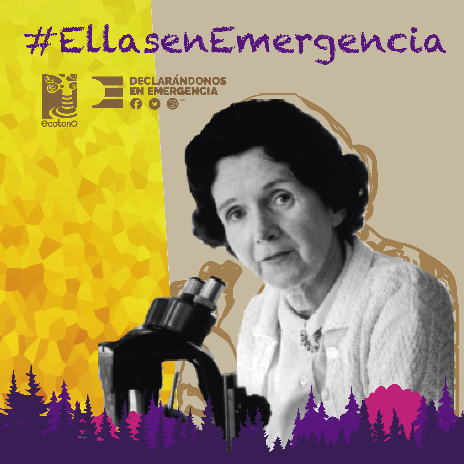Mujeres en la lucha por el Cambio Climático: Campaña Ambiental #EllasenEmergencia.