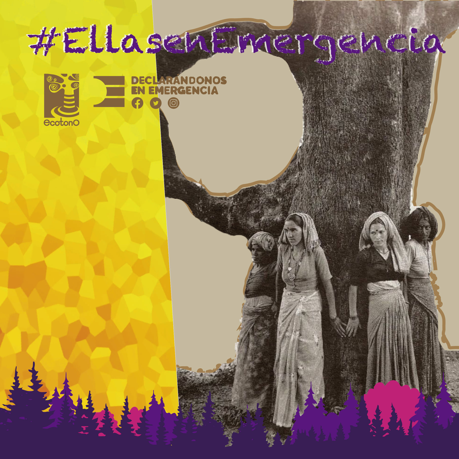 Mujeres en la lucha por el Cambio Climático: Movimiento Chipko en #EllasenEmergencia