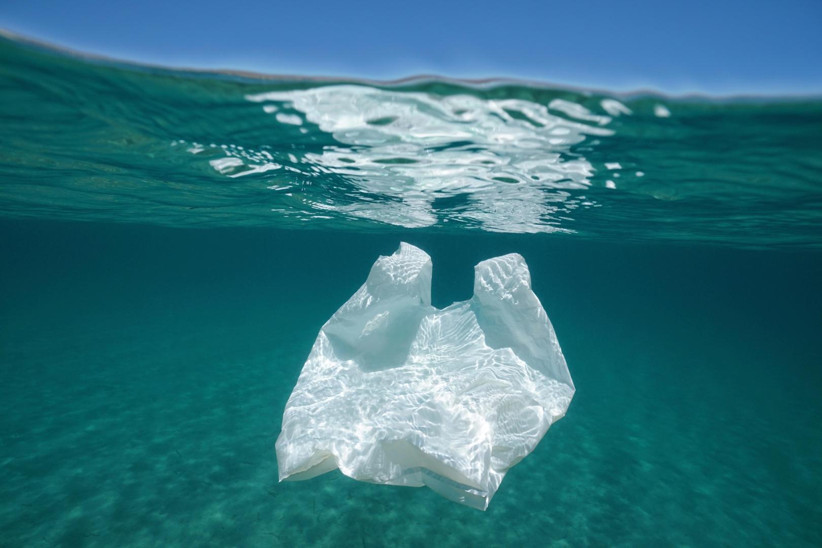 Día Mundial del Medio Ambiente: Sin contaminación por plásticos