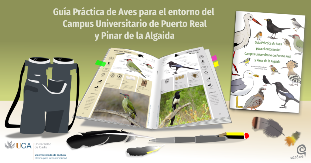 IMG Guía práctica de Aves para el entorno del Campus Universitario de Puerto Real y Pinar de La Algaida