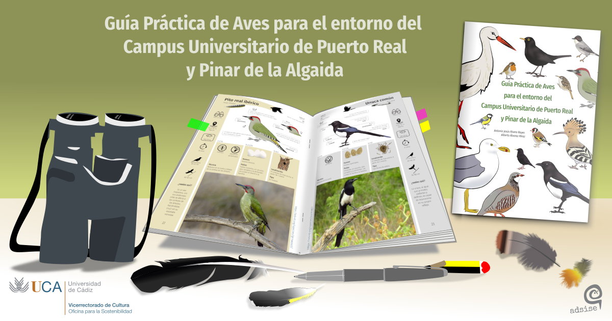 Guía práctica de Aves para el entorno del Campus Universitario de Puerto Real y Pinar de La Algaida