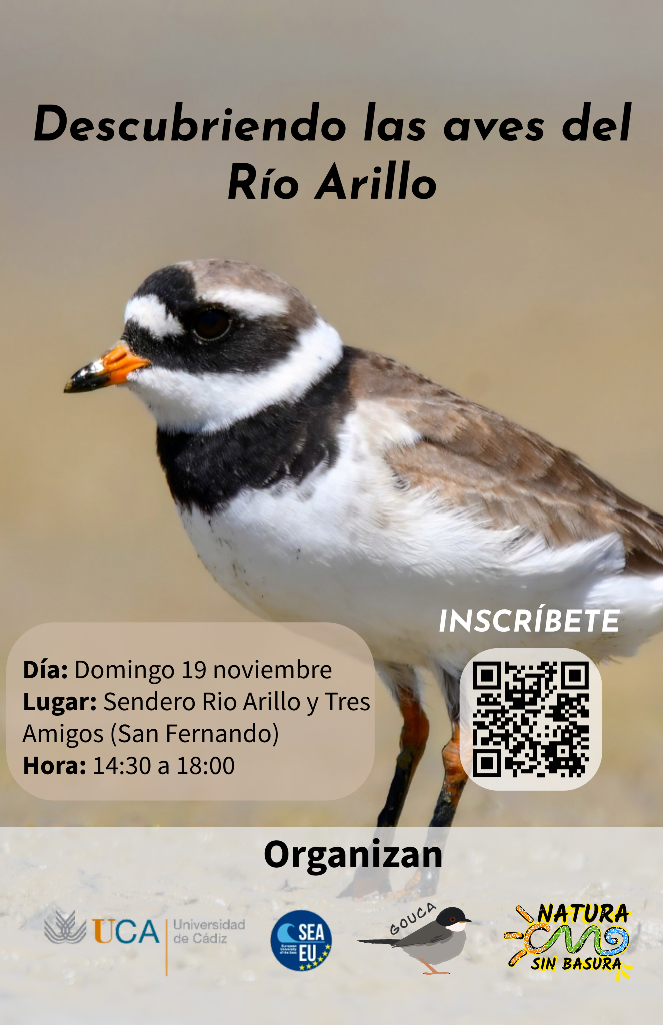 Descubriendo con el grupo ornitológico de la UCA las aves de Río Arillo ...