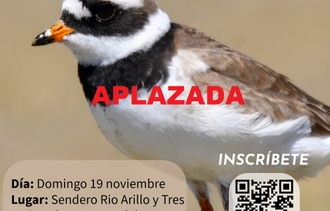 APLAZADA la Ruta ornitológica “Descubriendo las aves de Rio Arillo ...