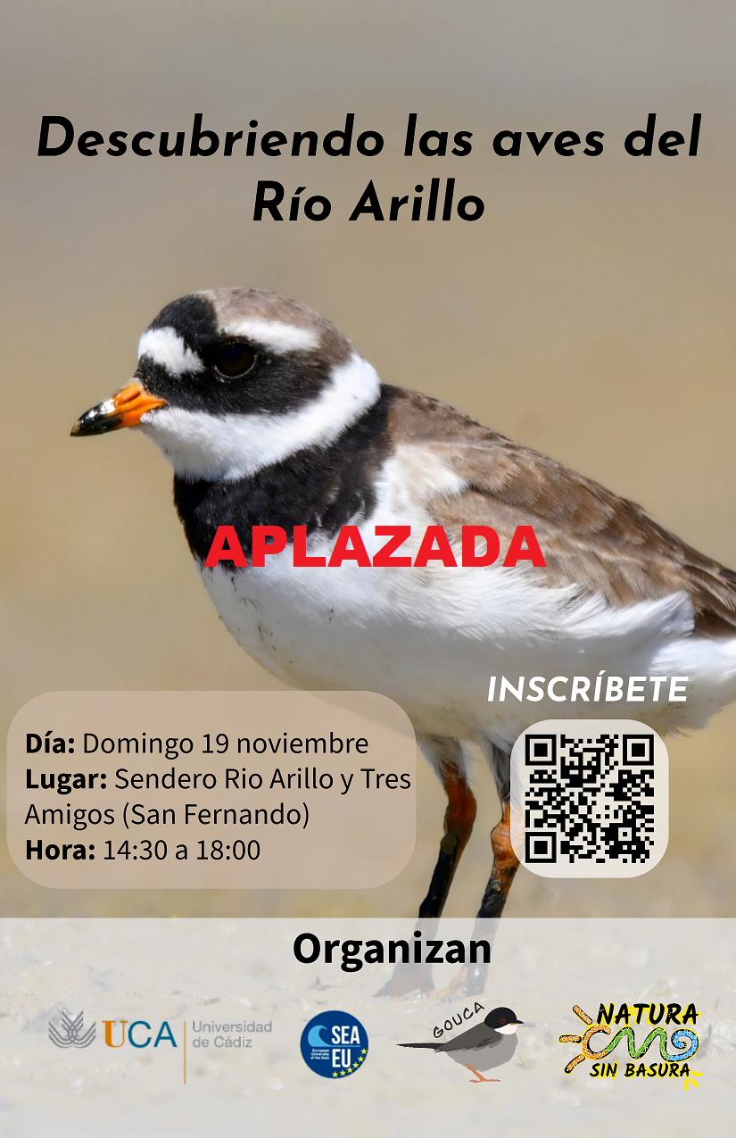 APLAZADA la Ruta ornitológica “Descubriendo las aves de Rio Arillo”