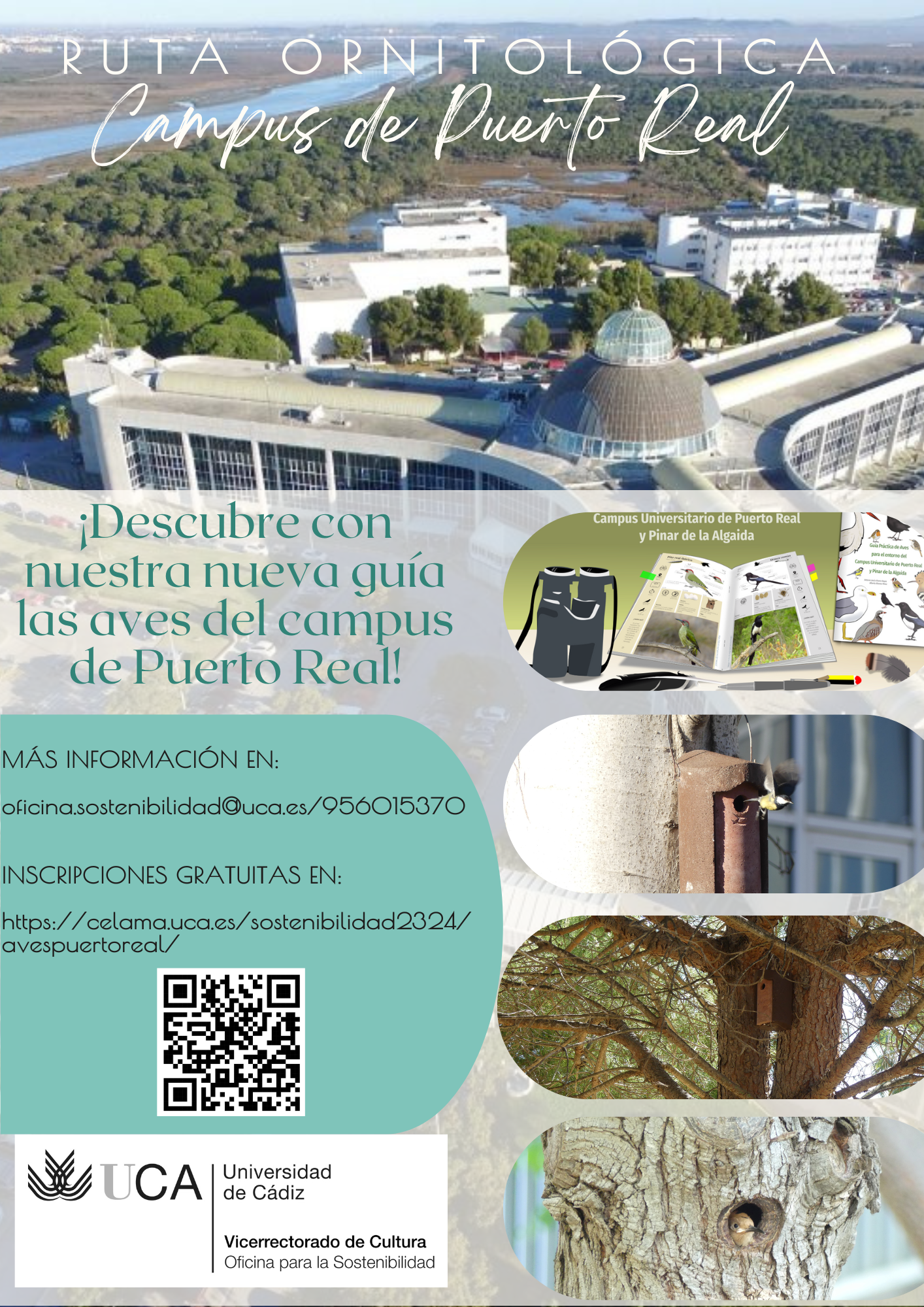 Descubre con nuestra nueva guía las aves del campus de Puerto Real