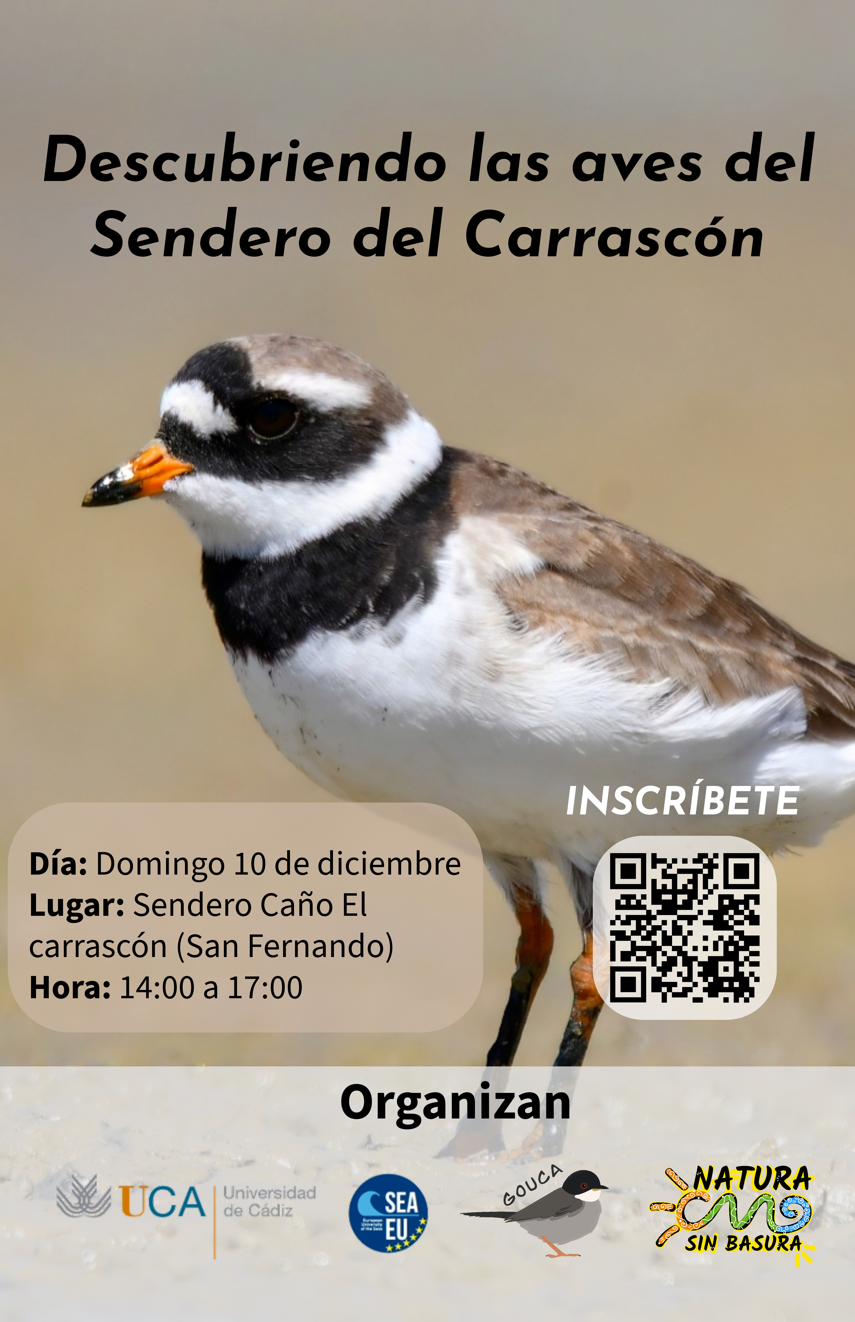 Descubriendo con el grupo ornitológico de la UCA las aves del sendero de El Carrascón (San Fernando)