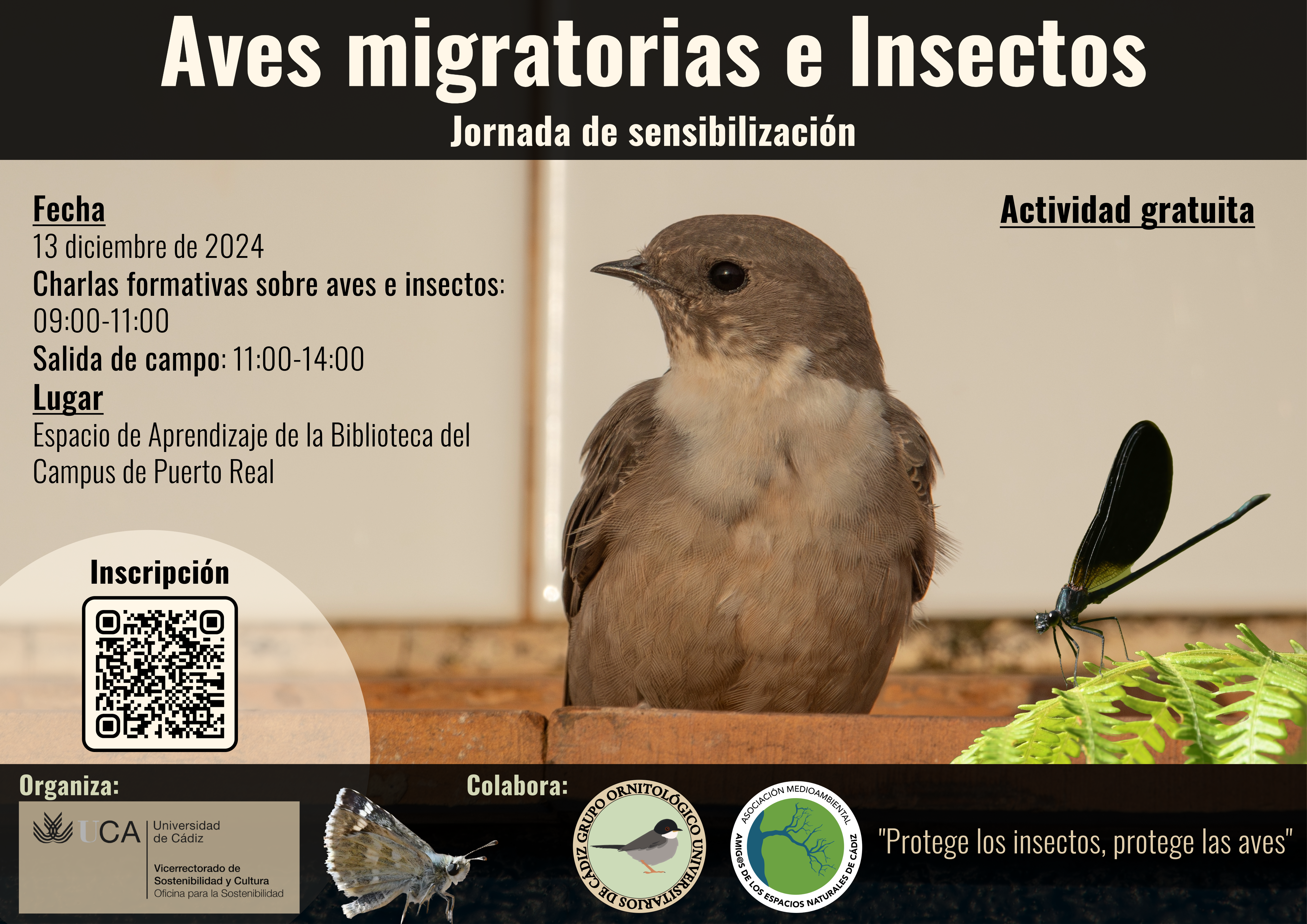 Jornada de sensibilización ambiental “Aves migratorias e insectos”