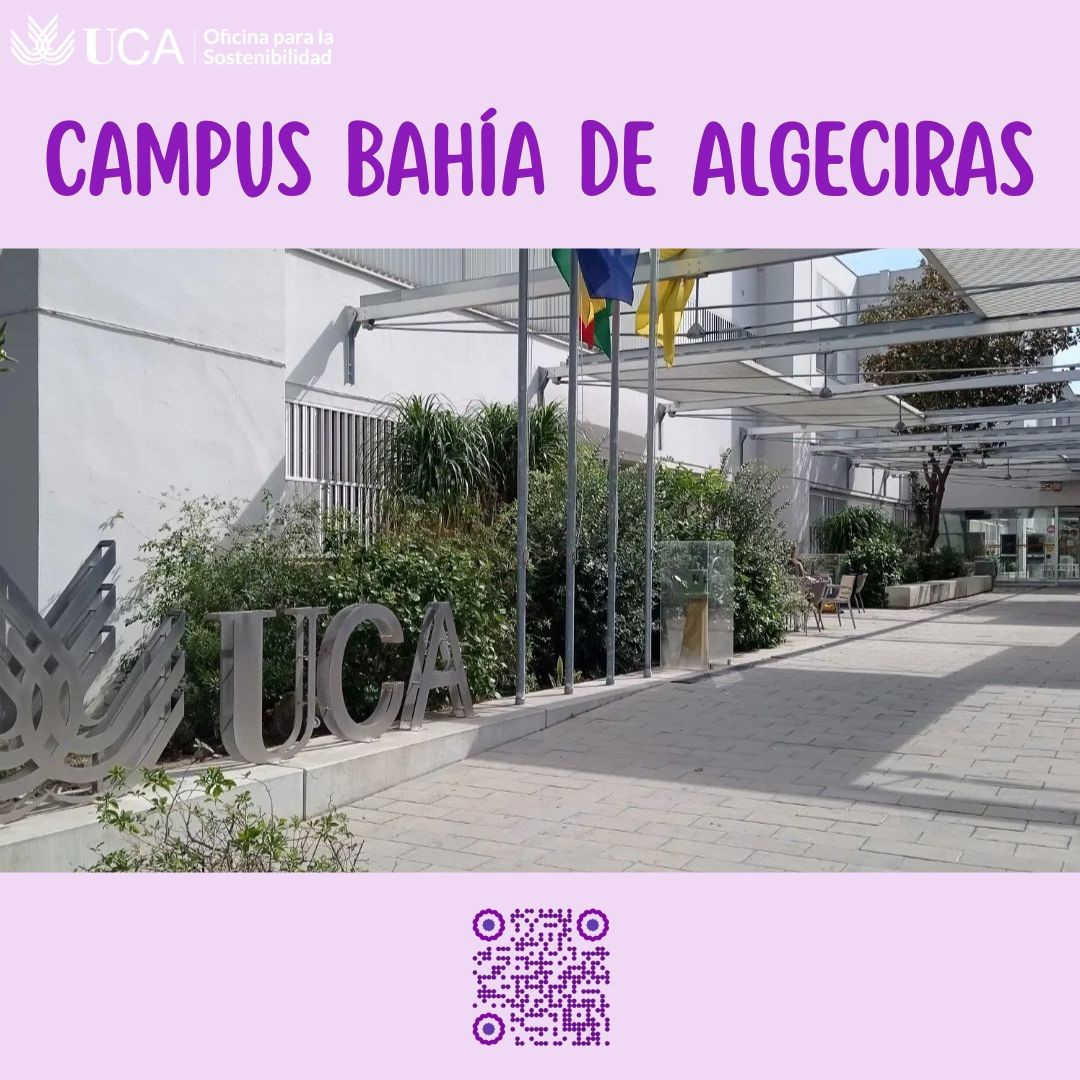 ¡Participa en la Encuesta de Movilidad de tu campus y gana una bici plegable!