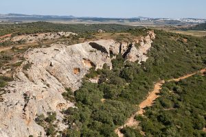 Programas de Sensibilización y Participación en los Espacios Naturales Protegidos de Andalucía