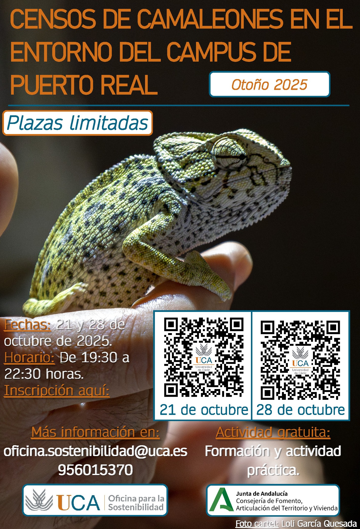 ¡Vuelven los censos de camaleones en el campus de Puerto Real!