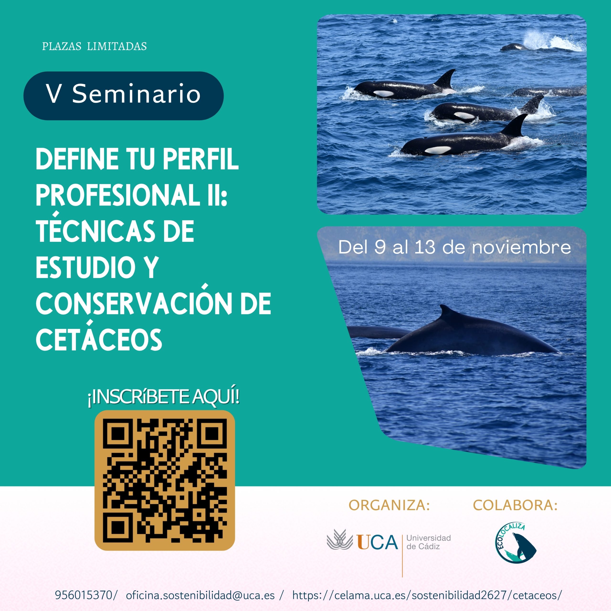 Impulsa tu perfil profesional: IV Edición del Seminario de Cetáceos y Fauna Marina